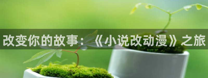 美妙天堂动漫免费看：改变你的故事：《小说改动漫》之旅