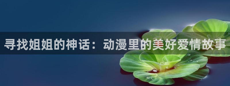 美妙天堂动漫观看：寻找姐姐的神话：动漫里的美好爱情故事